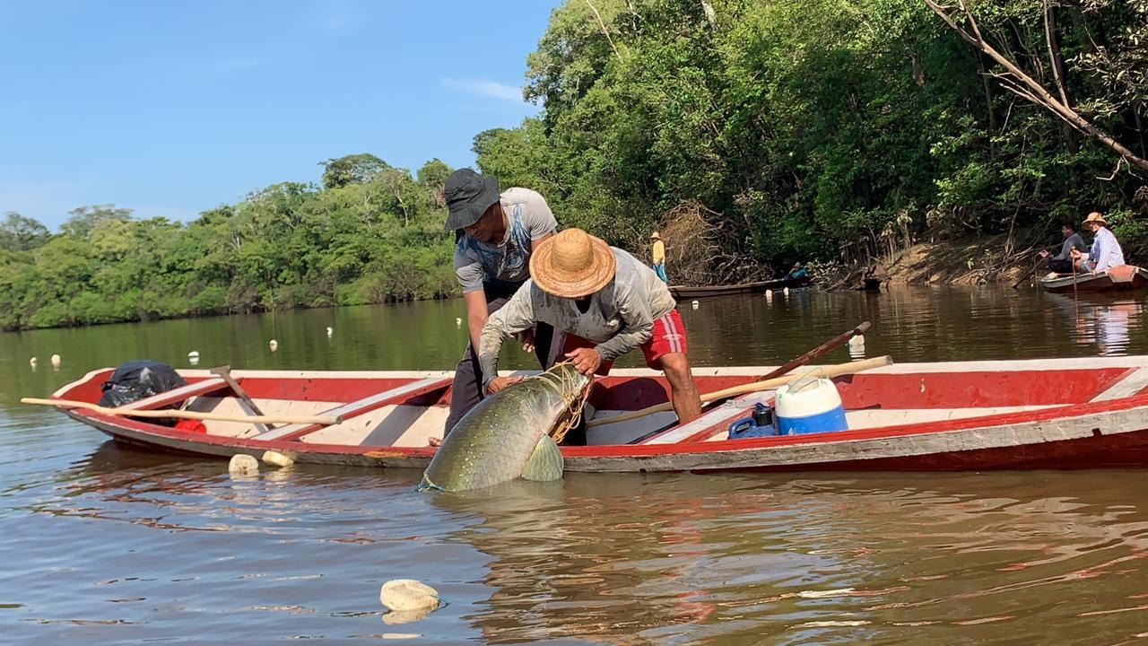 Governo do Amazonas garante direito ao seguro-defeso de 80 mil pescadores com ampliação de prazo para emissão da nova CIN