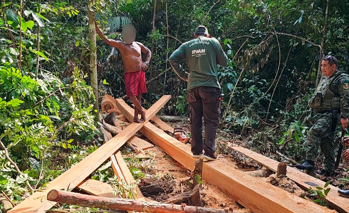 Operação Rio Negro resulta em R$ 427,8 mil em multas por crimes ambientais em Unidades de Conservação do Amazonas