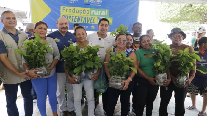 Sepror fortalece cultura do café em Presidente Figueiredo com 750 mudas