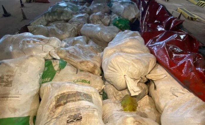 Adaf apreende mais de 4 toneladas de frutas ilegais com risco de pragas antes de chegar a Manaus.