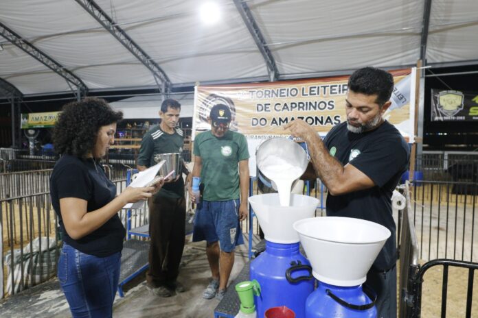 Expoagro 2025: Sepror promove concursos de queijo, doce de leite, de raças de animais e torneio leiteiro
