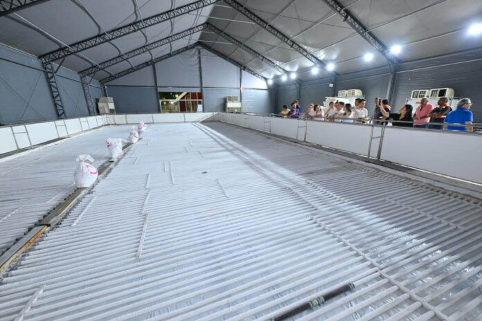 Manaus se prepara para um Natal histórico com árvore gigante, pista de gelo e balsa com presépio. Abertura oficial será neste sábado (1º/11).