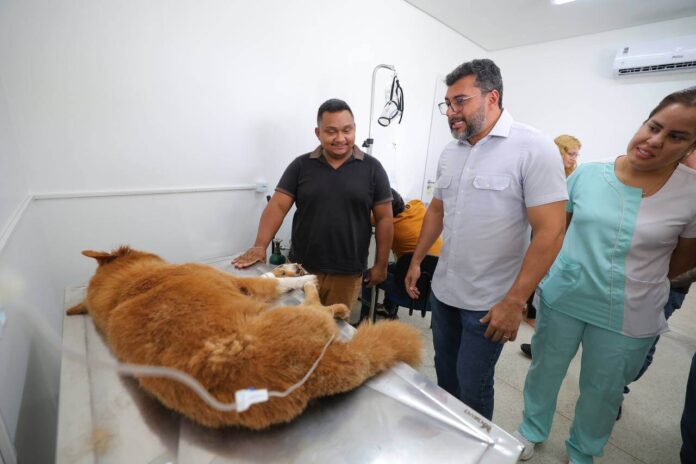 O primeiro Hospital Público Veterinário do Amazonas oferece atendimento gratuito para cães e gatos de famílias de baixa renda.