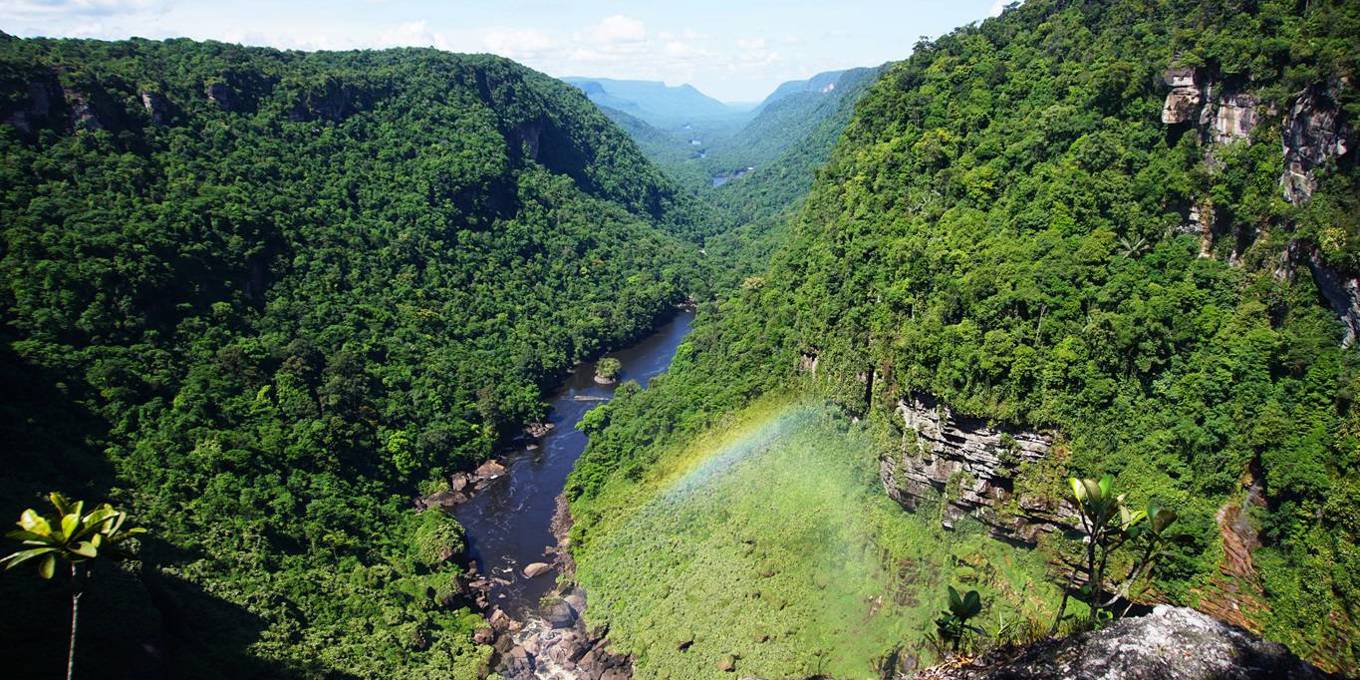 Secretário da Fazenda viaja à Europa para garantir investimentos para o Fundo Florestas Tropicais para Sempre, que será lançado em Belém.