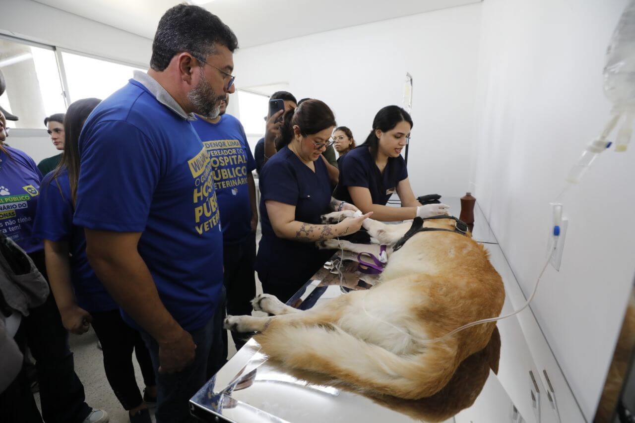 Saiba todos os detalhes de funcionamento do maior Hospital Veterinário da América Latina, com atendimento gratuito para cães e gatos.