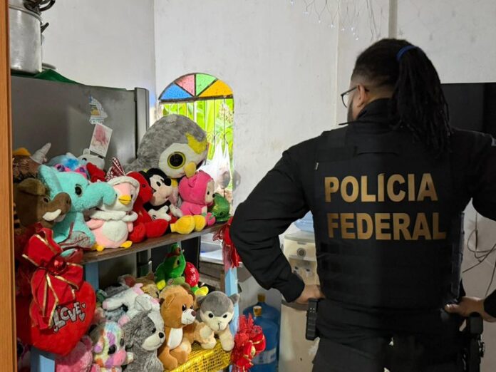 Polícia Federal e Polícias Civis de vários estados foram integradas em uma operação contra abuso sexual de crianças e adolescentes na internet.