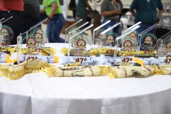 Queijarias do Amazonas se destacaram na Expoagro 2025, conquistando prêmios nas categorias de queijo bovino, bubalino e autoral.