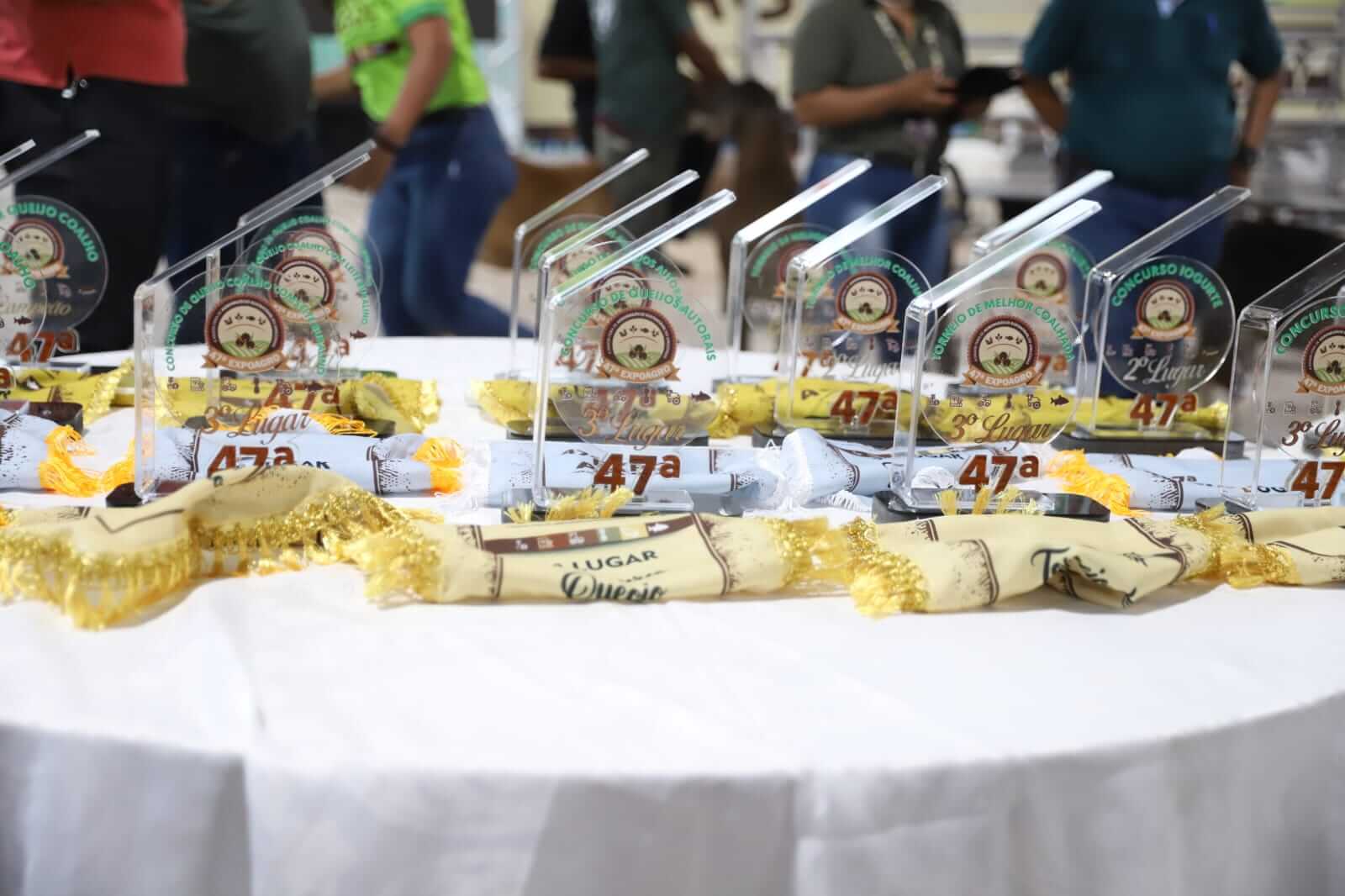 Queijarias do Amazonas se destacaram na Expoagro 2025, conquistando prêmios nas categorias de queijo bovino, bubalino e autoral.