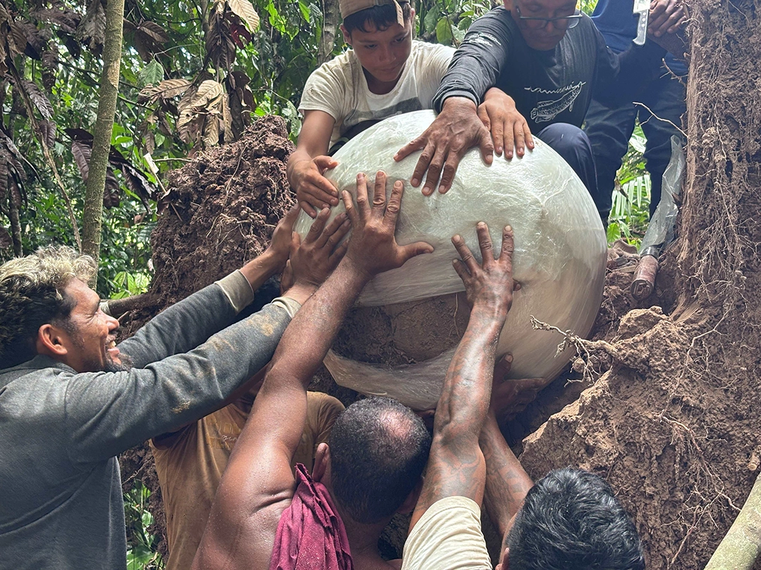 A descoberta das urnas funerárias no Amazonas