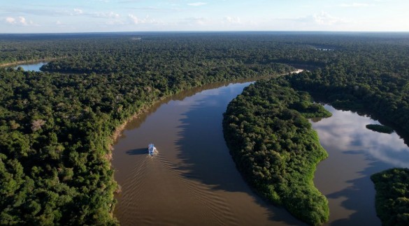 Extrativismo sustentável na Amazônia. Conheça como comunidades conciliam economia, coleta de castanha e preservação ambiental.