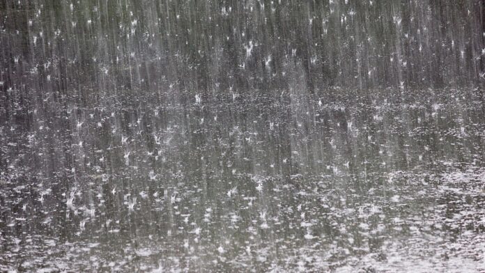 A Defesa Civil de Manaus esclarece por que o alerta sonoro não tocou durante a forte chuva e orienta como receber avisos por SMS.