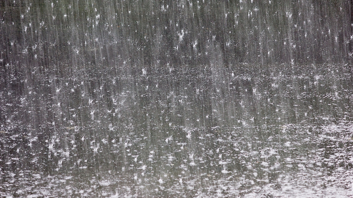 A Defesa Civil de Manaus esclarece por que o alerta sonoro não tocou durante a forte chuva e orienta como receber avisos por SMS.