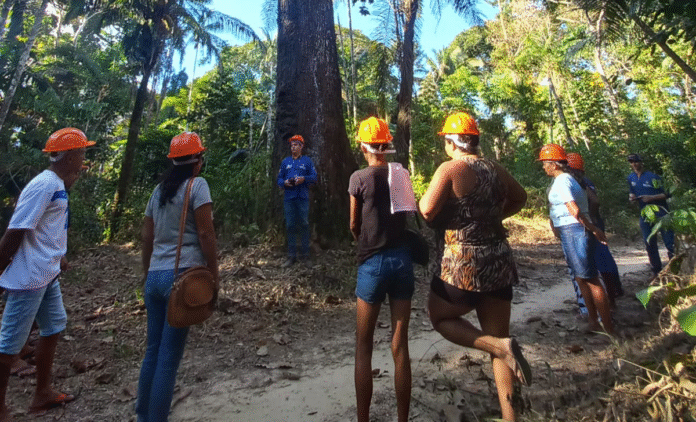 Idam capacita 272 extrativistas em seis municípios do Amazonas pelo projeto Paisagens Sustentáveis da Amazônia.