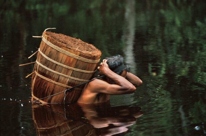 Dois piaçabeiros estão desaparecidos desde 14/10 na região do Rio Preto, em Santa Isabel do Rio Negro (AM).