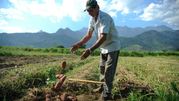 BNDES anuncia crédito de R$ 12 bilhões para produtores rurais afetados por perdas de safra, com prazo de até nove anos para pagamento.