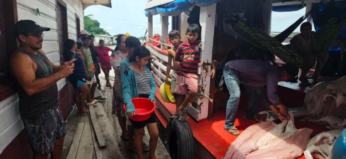 Fiscalização integrada apreende 4,5 toneladas de pescado ilegal na RDS Piagaçu-Purus durante o defeso e aplica multas no Amazonas.