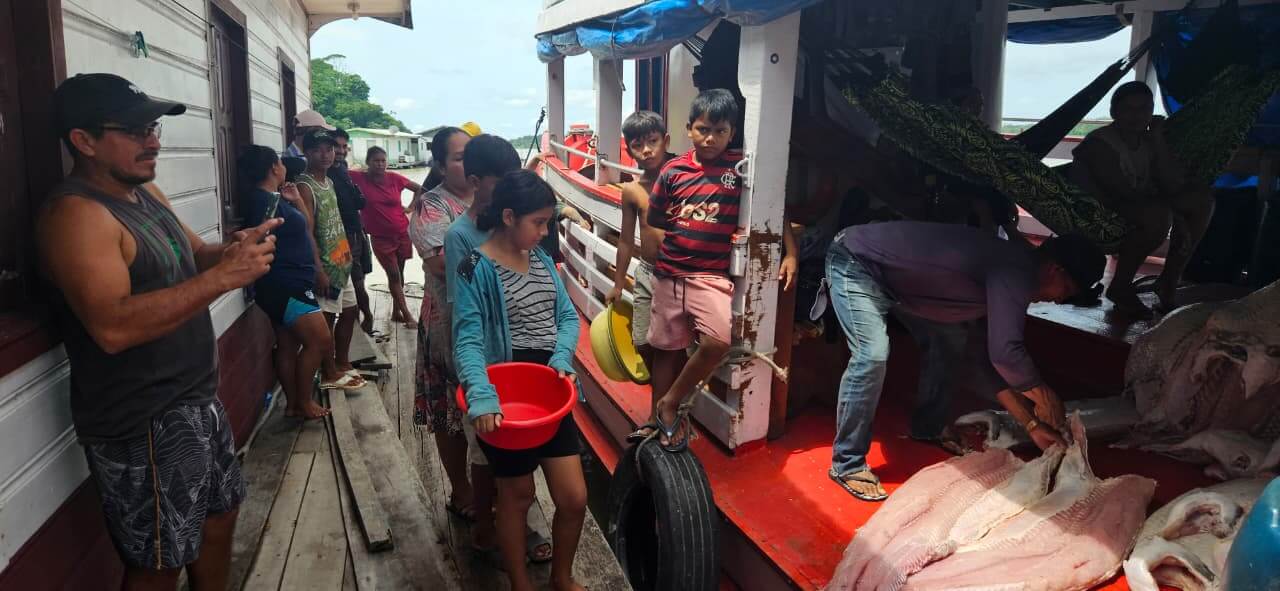 Fiscalização integrada apreende 4,5 toneladas de pescado ilegal na RDS Piagaçu-Purus durante o defeso e aplica multas no Amazonas.