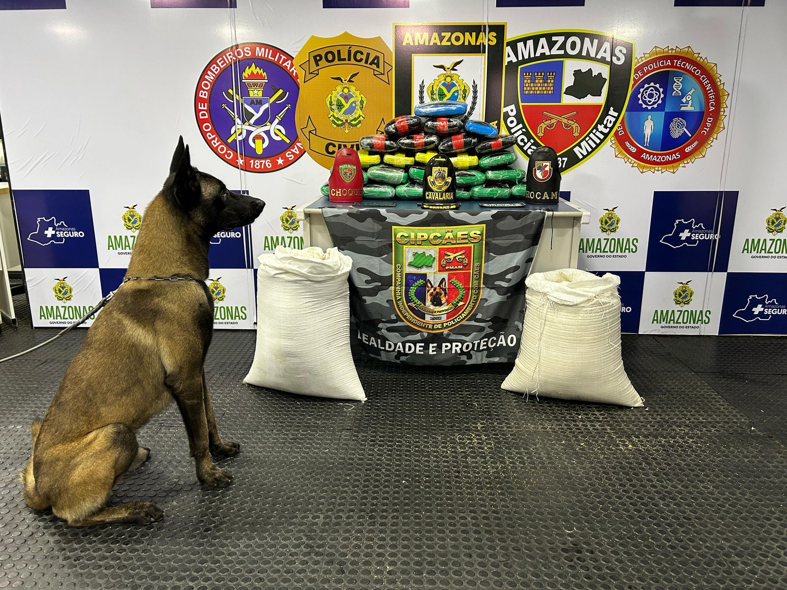 O Amazonas lidera apreensões de drogas na região Norte e alcança o 6º lugar no ranking nacional.
