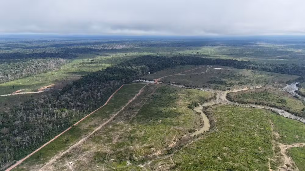Ipaam aplica multa de R$ 24,3 mi pelo maior desmatamento no Amazonas em 2025. Área em Borba, equivalente a 2 mil campos de futebo
