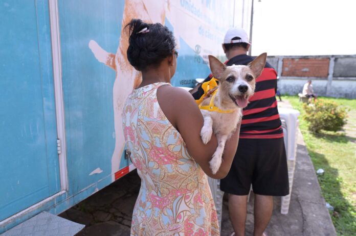 Castramóvel chega a Silves com 200 vagas para castração gratuita e vacinação antiviral para cães e gatos. Veja como participar.