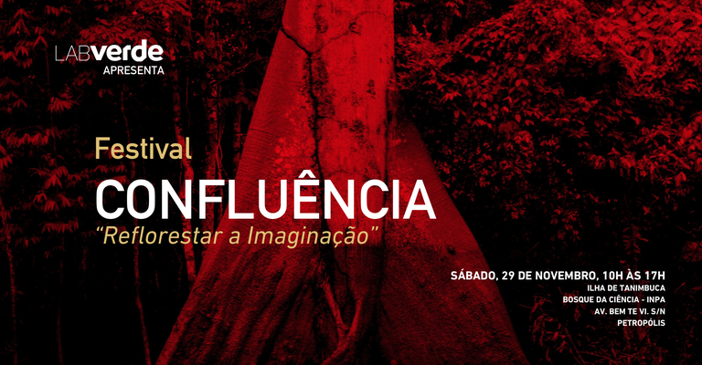 O Festival Confluência retorna ao Bosque da Ciência neste sábado (29) com shows, exposições e gastronomia. Entrada gratuita mediante agendamento.