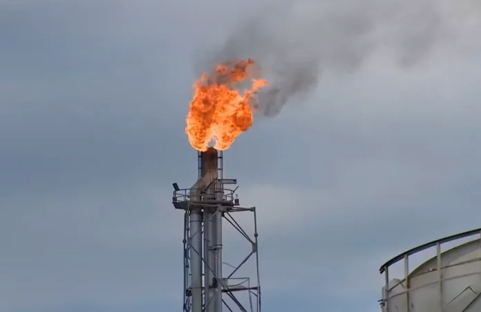 A Base de Urucu reduziu 80% da queima de gás em 9 anos. Saiba como a Petrobras une eficiência energética e preservação na Amazônia.