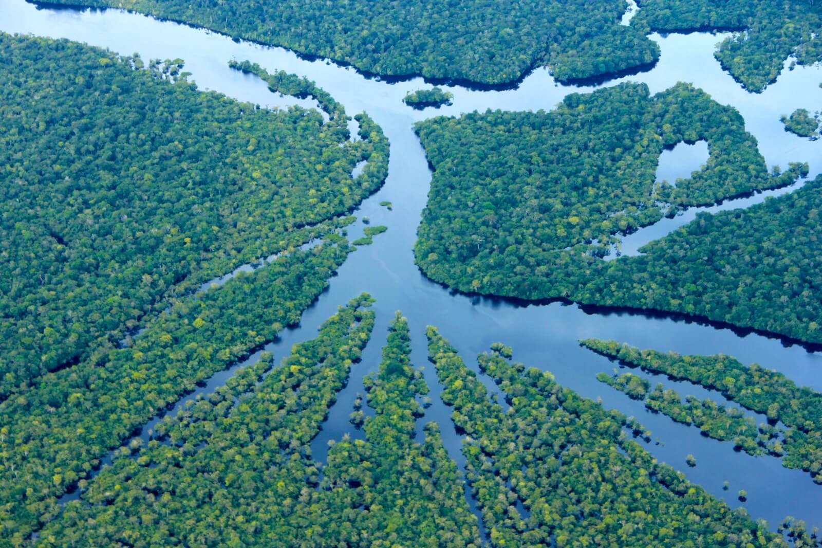 Amazonas registra a menor taxa de desmatamento desde 2017, com redução de 16,9%, segundo dados do Inpe.