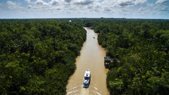 O Plano CNI Amazônia, detalhado na COP30, projeta R$ 40 bilhões ao PIB e 312 mil empregos, focando no desenvolvimento sustentável da região.