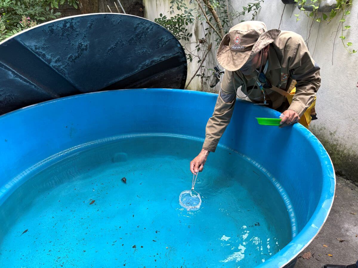 Prefeitura de Manaus inicia LIRAa 2025 e vistoria mais de 25 mil imóveis para medir infestação do Aedes aegypti.