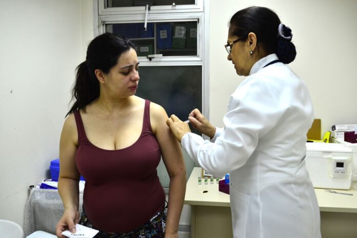 A vacina VSR será ofertada pelo SUS a gestantes a partir de dezembro. Imunizante previne casos graves de bronquiolite em bebês e custa R$ 1,5 mil na rede privada.