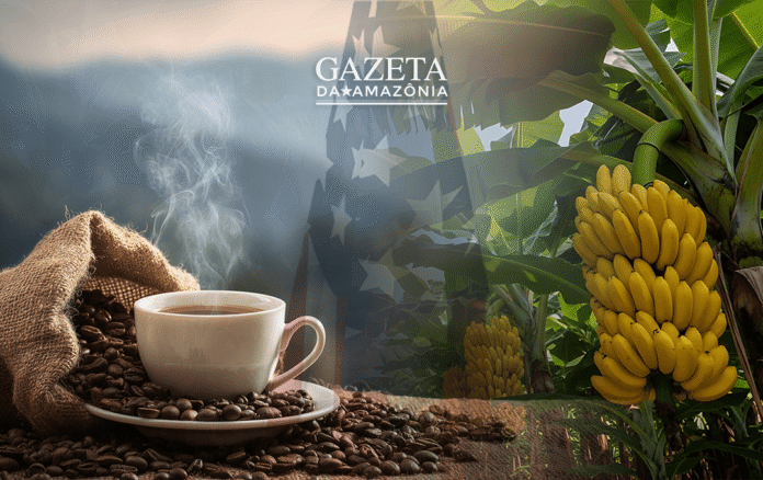 Secretário do tesouro dos EUA anuncia alívio nas tarifas do café, bananas e outros produtos. Brasil, maior exportador, deve ser o principal beneficiado.