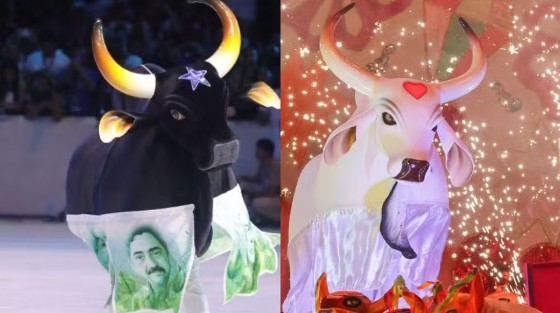 Ingressos para o Festival de Parintins 2026 estão à venda na Bilheteria Digital. Veja preços, setores e regras para meia-entrada e acesso.