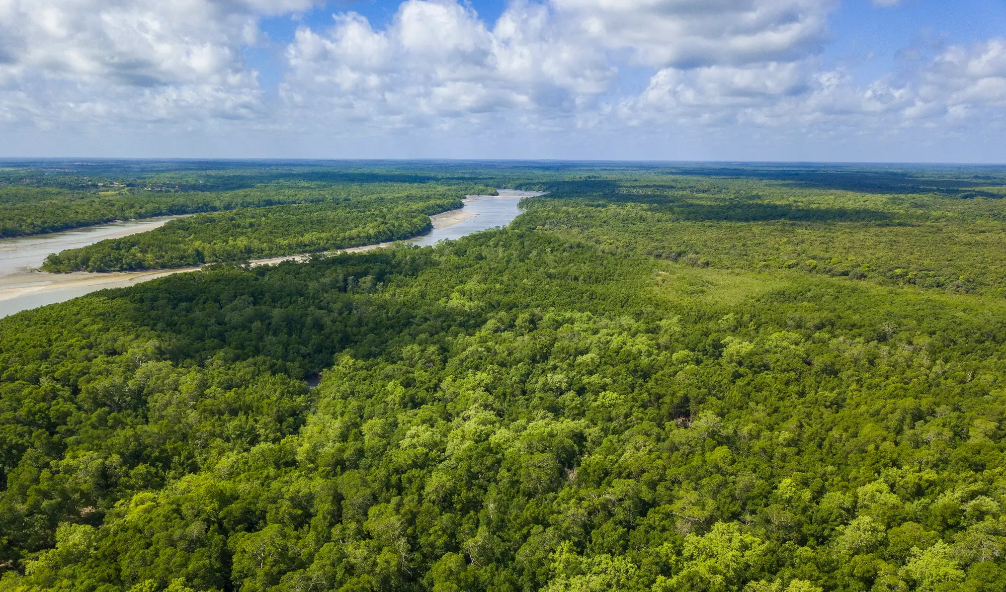 Fundo Amazônia aprova R$ 2 bilhões em 2025, maior valor da história. Recursos financiam combate a incêndios e restauração na Amazônia, Cerrado e Pantanal.