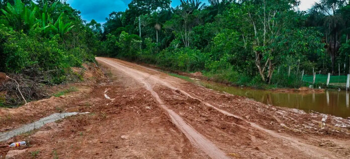 Licença Ambiental Especial pode liberar obras da BR-319 em até 90 dias com novo modelo de licenciamento ambiental aprovado pelo Congresso.
