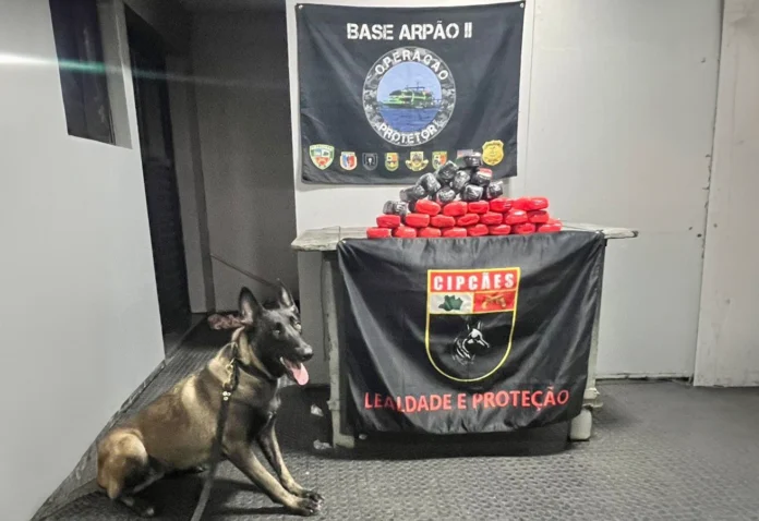 Fiscalização na Base Arpão 2 intercepta 15 kg de cocaína em ferry boat. Droga estava oculta entre garrafões de água em Coari.