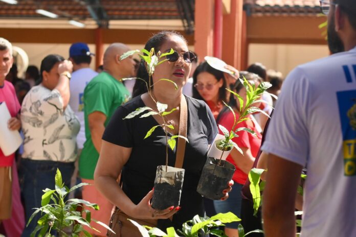 Ipaam distribuiu 200 mudas frutíferas, medicinais e ornamentais durante o Governo Presente, reforçando a sustentabilidade em Manaus.