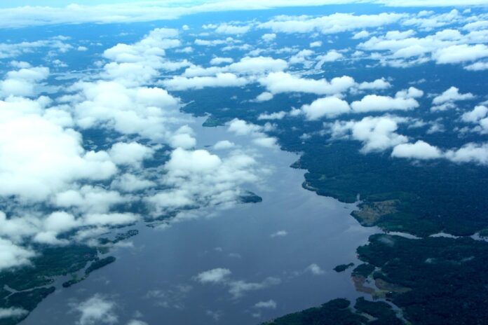 Amazonas registra queda de 58,6% nos focos de calor em novembro de 2025, menor índice desde 2021, segundo Ipaam.