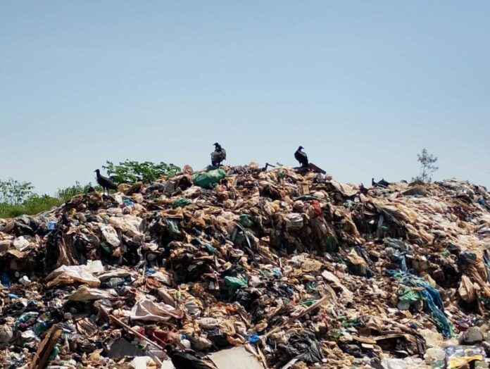 População denuncia doenças e descaso no lixão de Iranduba. Prefeito foi vaiado em evento devido à crise ambiental e sanitária.