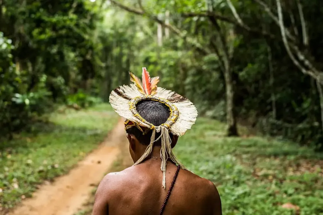 Banca indígena da UFAM realiza a primeira defesa de doutorado totalmente formada por pesquisadores originários, valorizando saberes tradicionais na Amazônia.