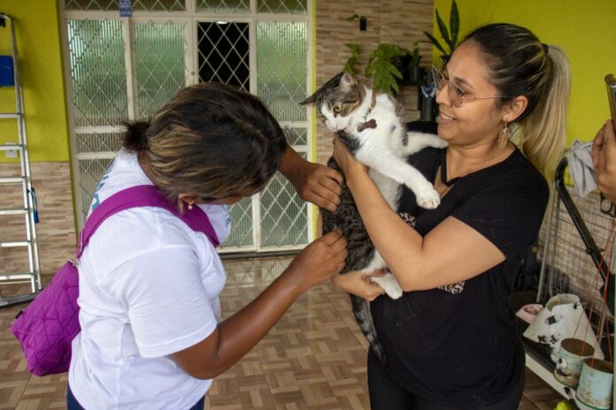A campanha antirrábica em Manaus já imunizou mais de 193 mil cães e gatos e segue até 29 de dezembro com visitas e 52 pontos fixos.