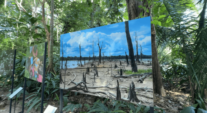 O Bosque da Ciência inicia 2026 com exposição fotográfica da COP 30. Confira imagens impactantes da Amazônia e saiba como agendar sua visita gratuita.
