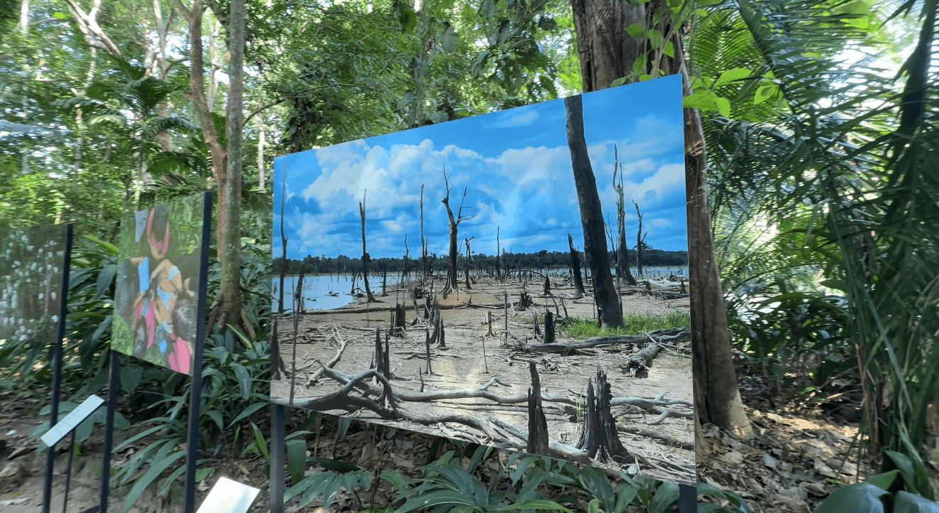 O Bosque da Ciência inicia 2026 com exposição fotográfica da COP 30. Confira imagens impactantes da Amazônia e saiba como agendar sua visita gratuita.
