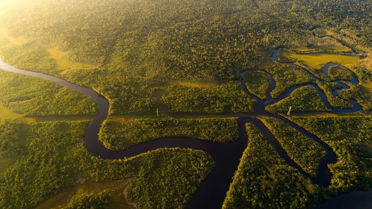 Descubra a Serra do Divisor, onde uma expedição de 1938 deixou um cemitério de máquinas, poços termais e cavernas escondidas na Amazônia