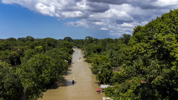 O edital do ProFloresta+ recebeu 16 propostas para restauração na Amazônia. BNDES e Petrobras buscam créditos de carbono de alta integridade até 2026.