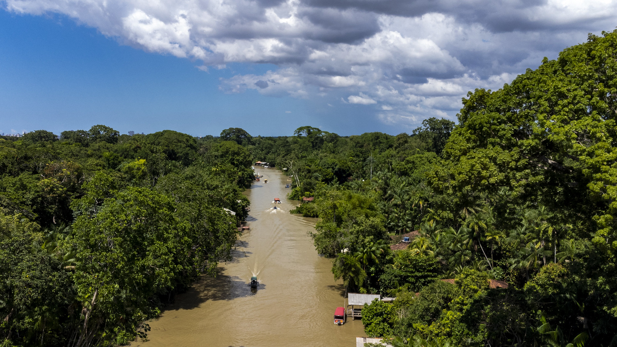 O edital do ProFloresta+ recebeu 16 propostas para restauração na Amazônia. BNDES e Petrobras buscam créditos de carbono de alta integridade até 2026.