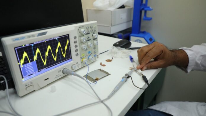 Microgeradores na Amazônia convertem vibrações ambientais em energia para sensores remotos, com apoio da Fapeam e da Ufam.