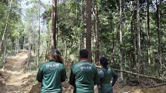 O Defeso Florestal inicia dia 15/01 no Amazonas. Ipaam suspende corte e transporte de madeira em planos de manejo durante o período chuvoso.