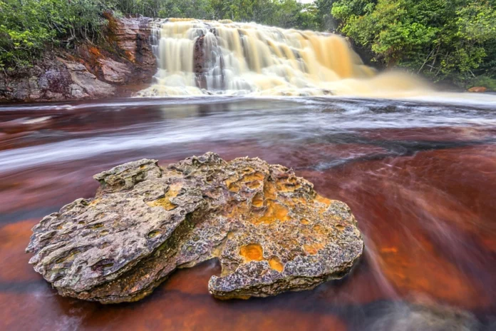 Planeje suas férias no Amazonas com nosso guia. Descubra cachoeiras, o Musa e teatros históricos, com informações atualizadas de preços e roteiros.