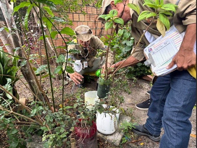 Prefeitura de Manaus inicia nova estratégia contra o Aedes aegypti. Tecnologia monitora focos do mosquito e reforça prevenção em 2026.