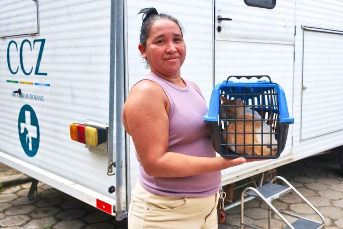 Prefeitura de Manaus abre agendamento de castração nesta quinta (15). Saiba como garantir vaga para cães e gatos no site do CCZ e veja o calendário.